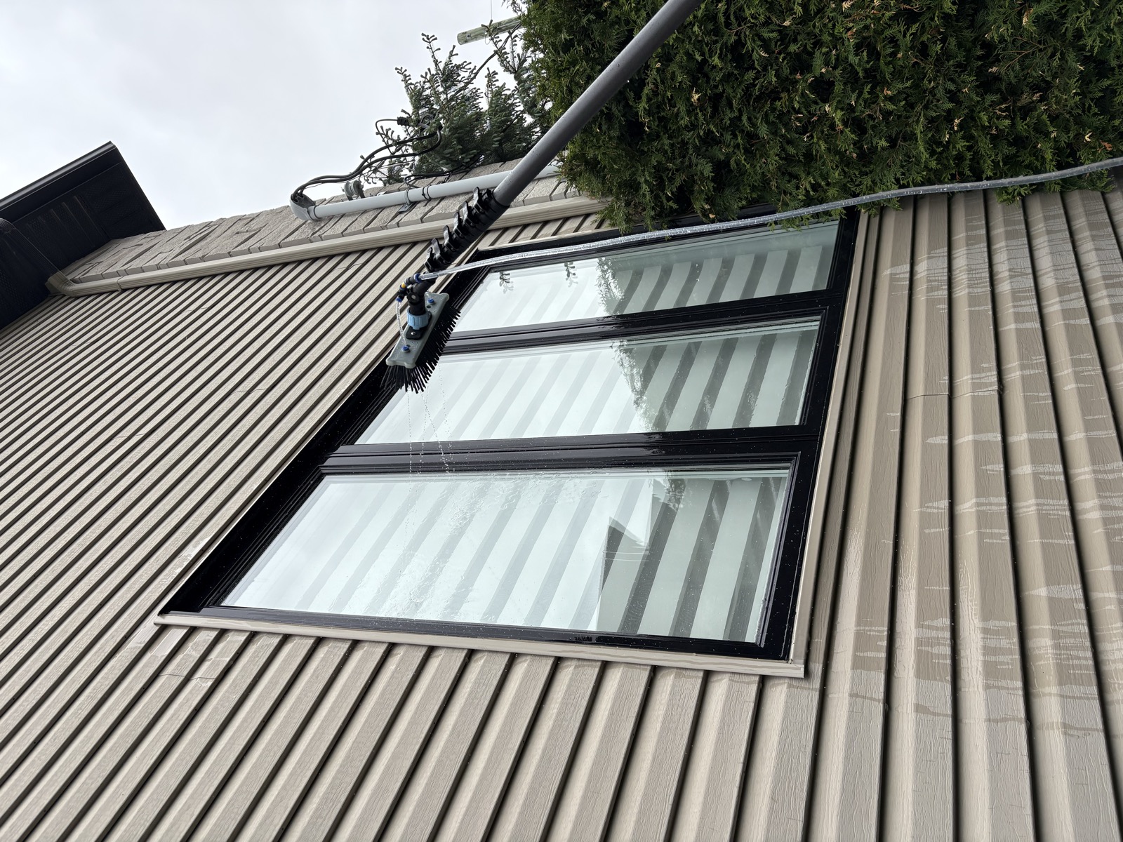 Aridan en action — lavage professionnel